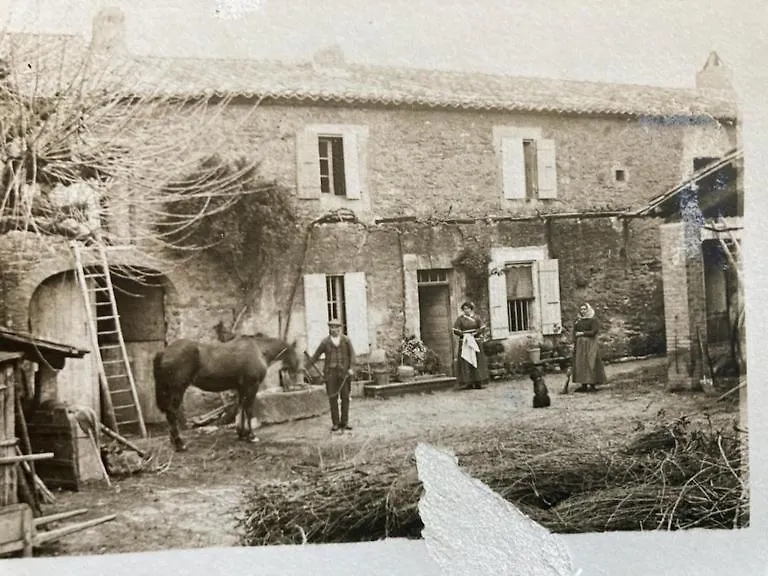Chez Vero Chambres D'Hotes & Maison En Pierre Contemporaine Suze-la-Rousse