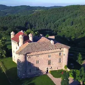 Bed and breakfast Chateau De Maisonseule, Saint-Basile